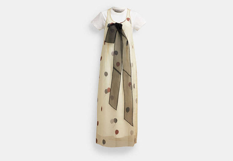 Printed Organza Balloon Dress