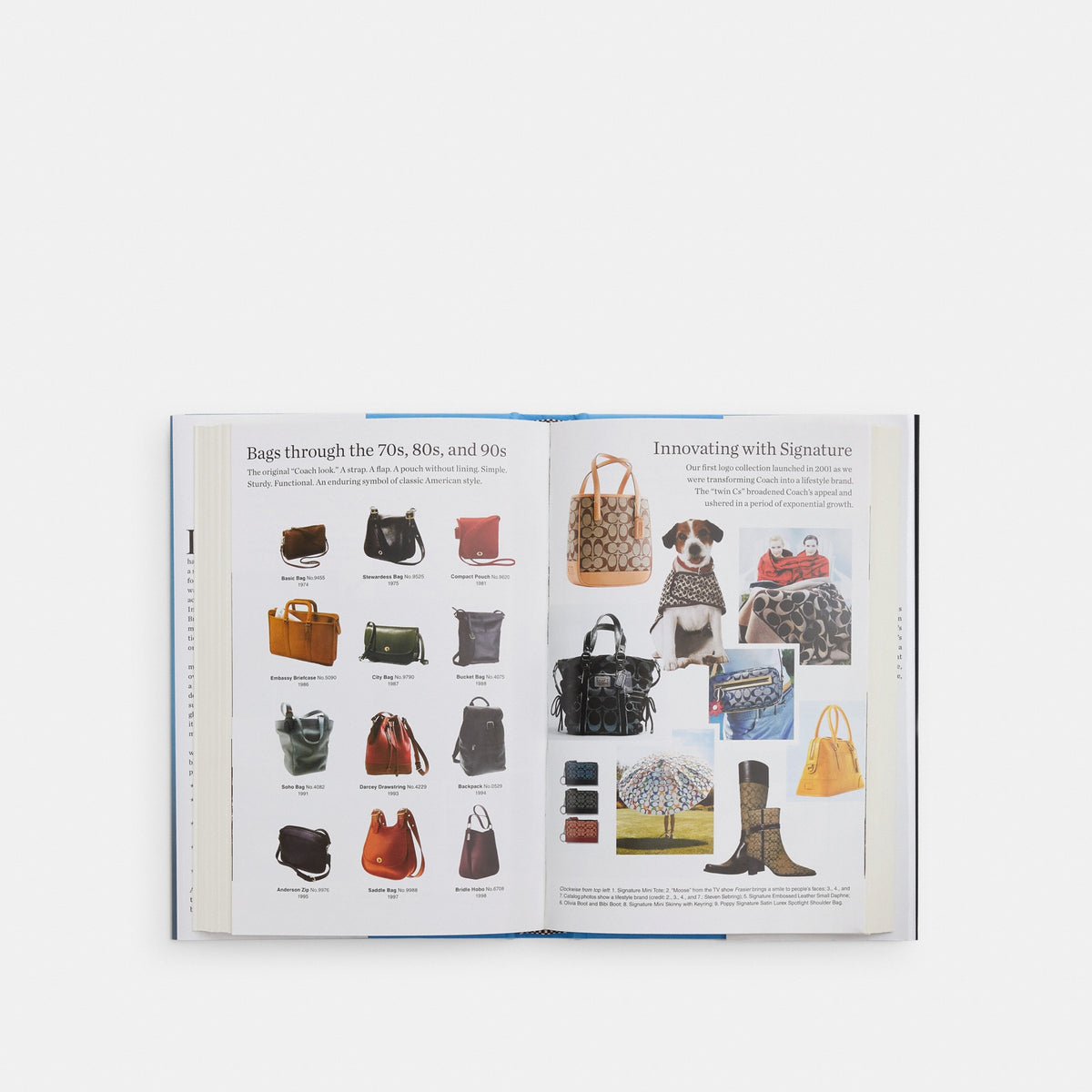 Bag Man: The Story Behind The Improbable Rise Of Coach