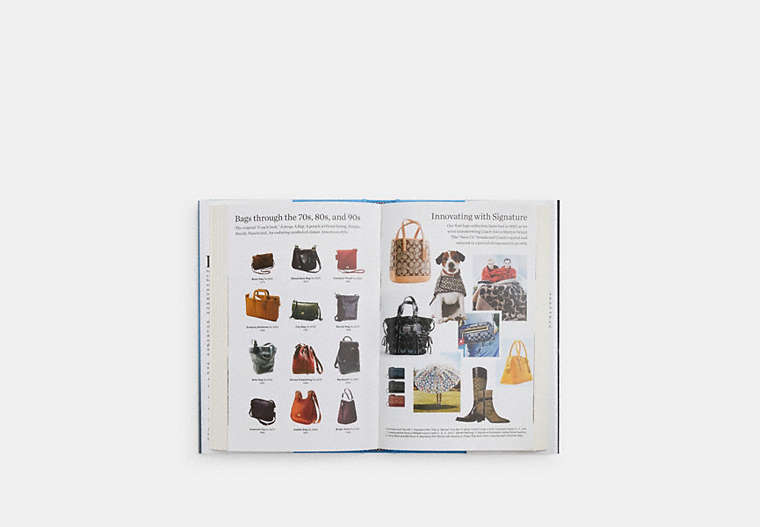 Bag Man: The Story Behind The Improbable Rise Of Coach