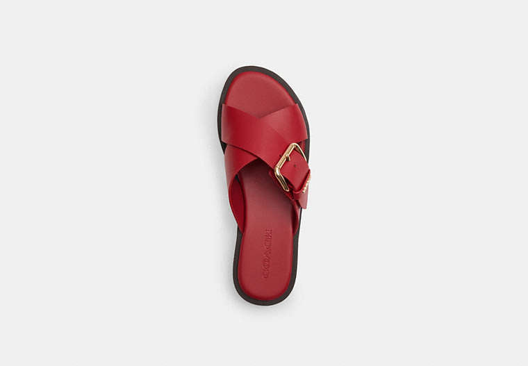 Crisscross Buckle Sandal
