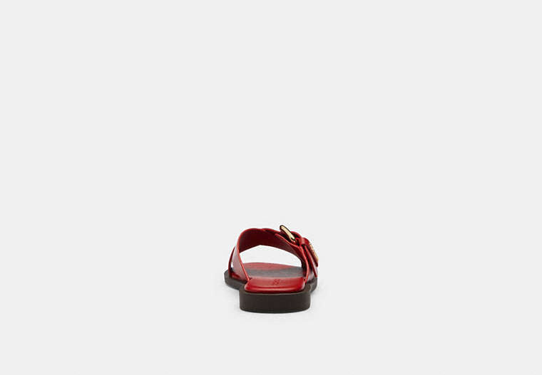 Crisscross Buckle Sandal
