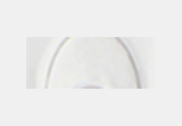 Repeated C Rondelle Necklace