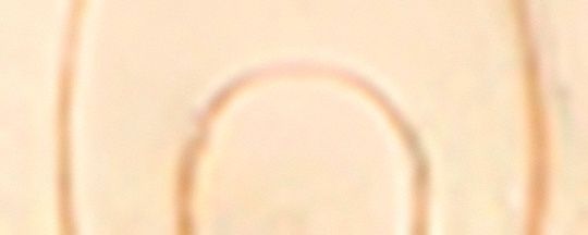 Repeated C Rondelle Necklace