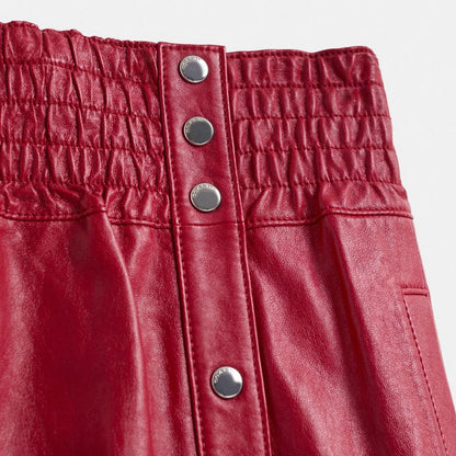 Restored Smocked Leather Skirt