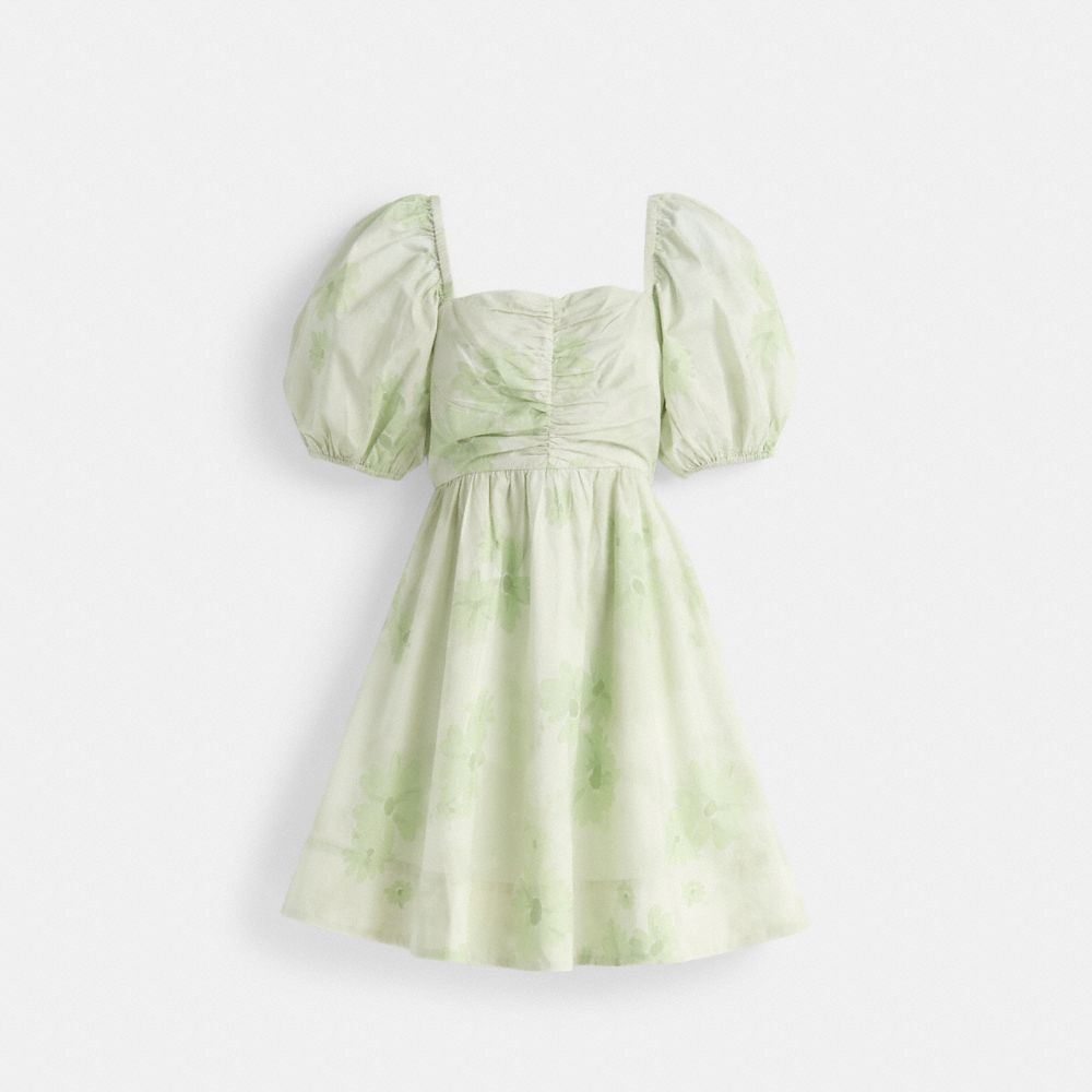 Restored Puff Sleeve Mini Dress