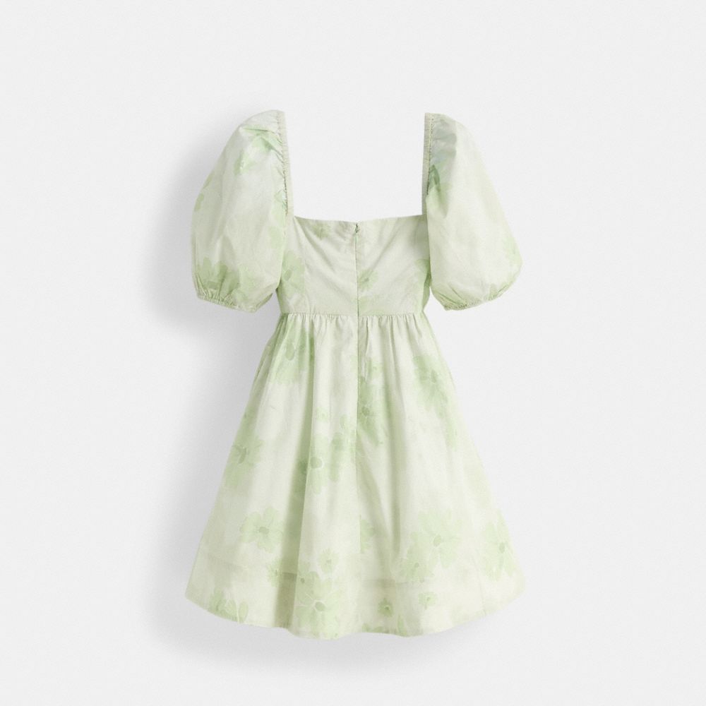 Restored Puff Sleeve Mini Dress