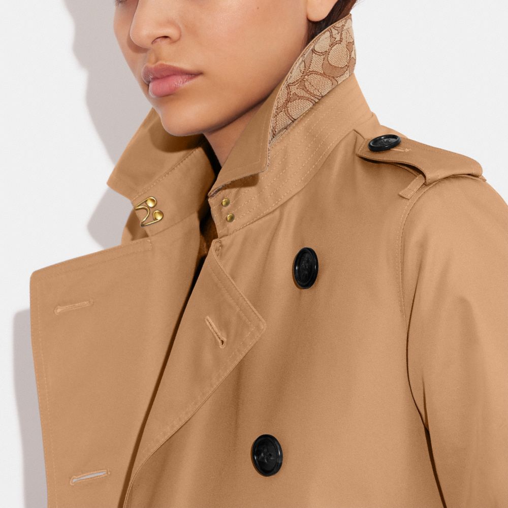Trench Coat