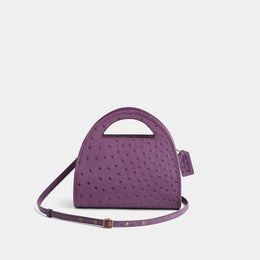 Restored Zip Dome Crossbody In Ostrich