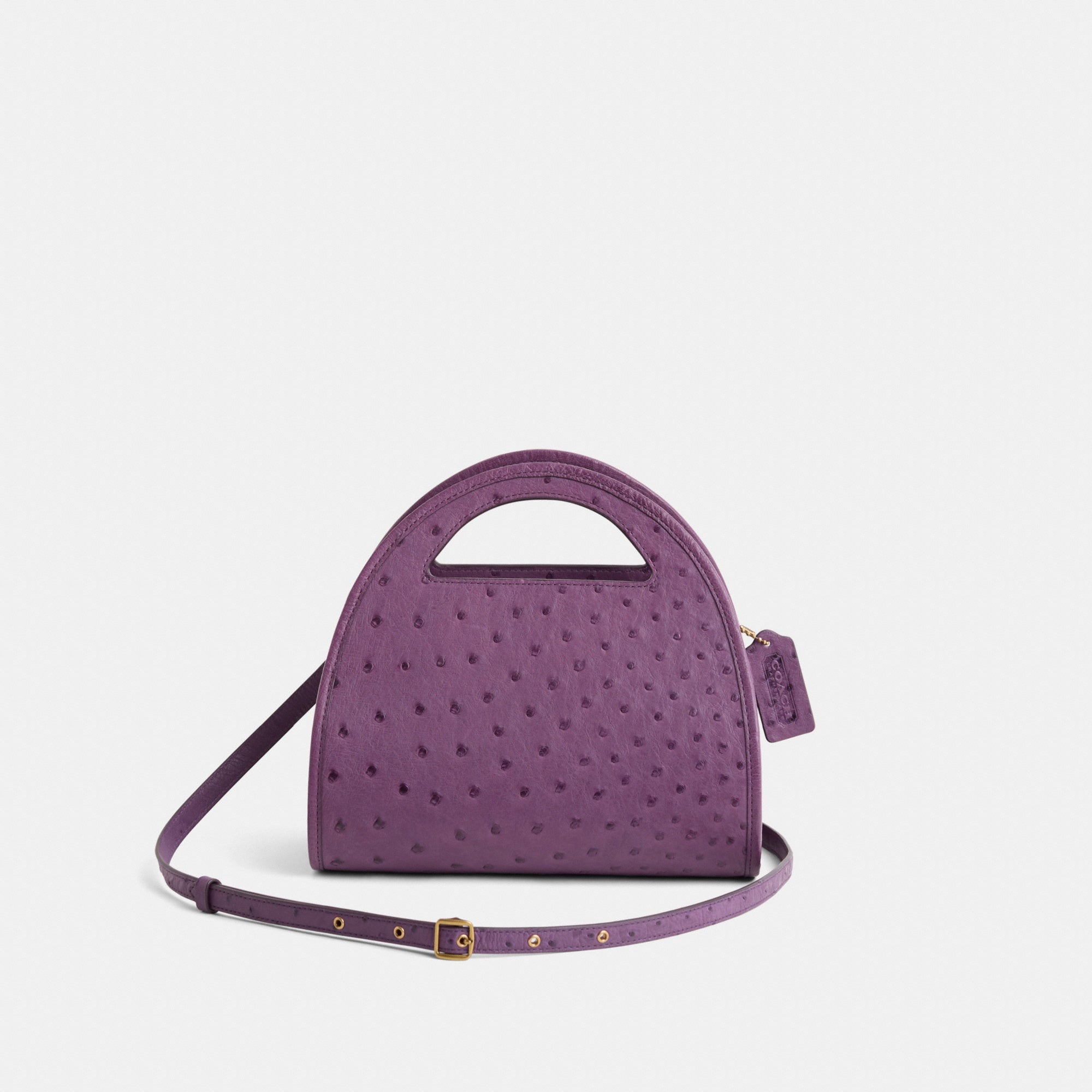 Restored Zip Dome Crossbody In Ostrich