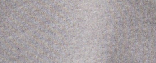 Restored Rexy Crewneck Sweatshirt