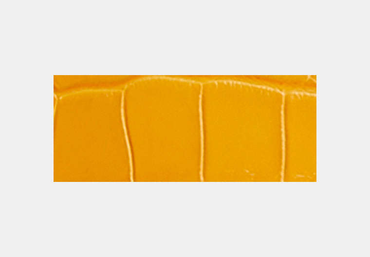 Restored Zip Geometric Pouch In Alligator