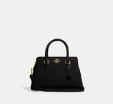 Mini Darcie Carryall Bag