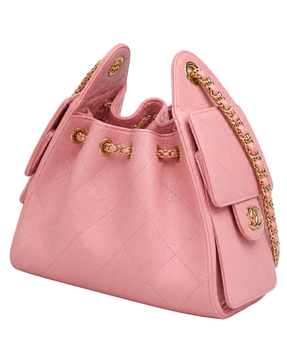 Chanel 25 Mini Handbag