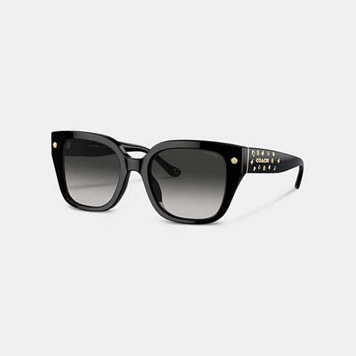 Charms Oversized Square Sunglasses