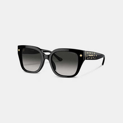 Charms Oversized Square Sunglasses