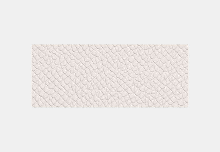 Card Case