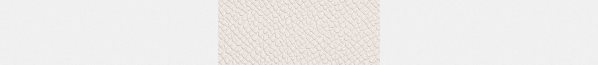 Card Case