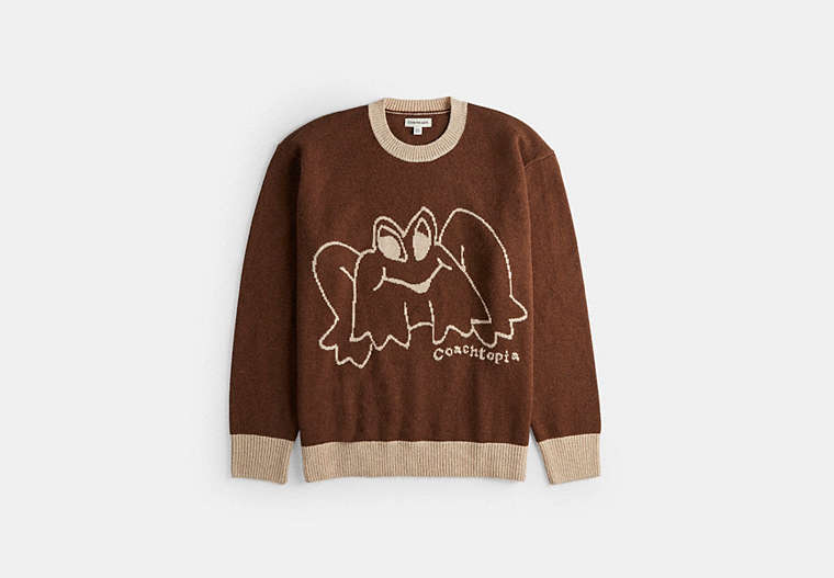Crewneck Sweater With Intarsia Star Frog Graphic