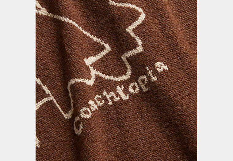Crewneck Sweater With Intarsia Star Frog Graphic
