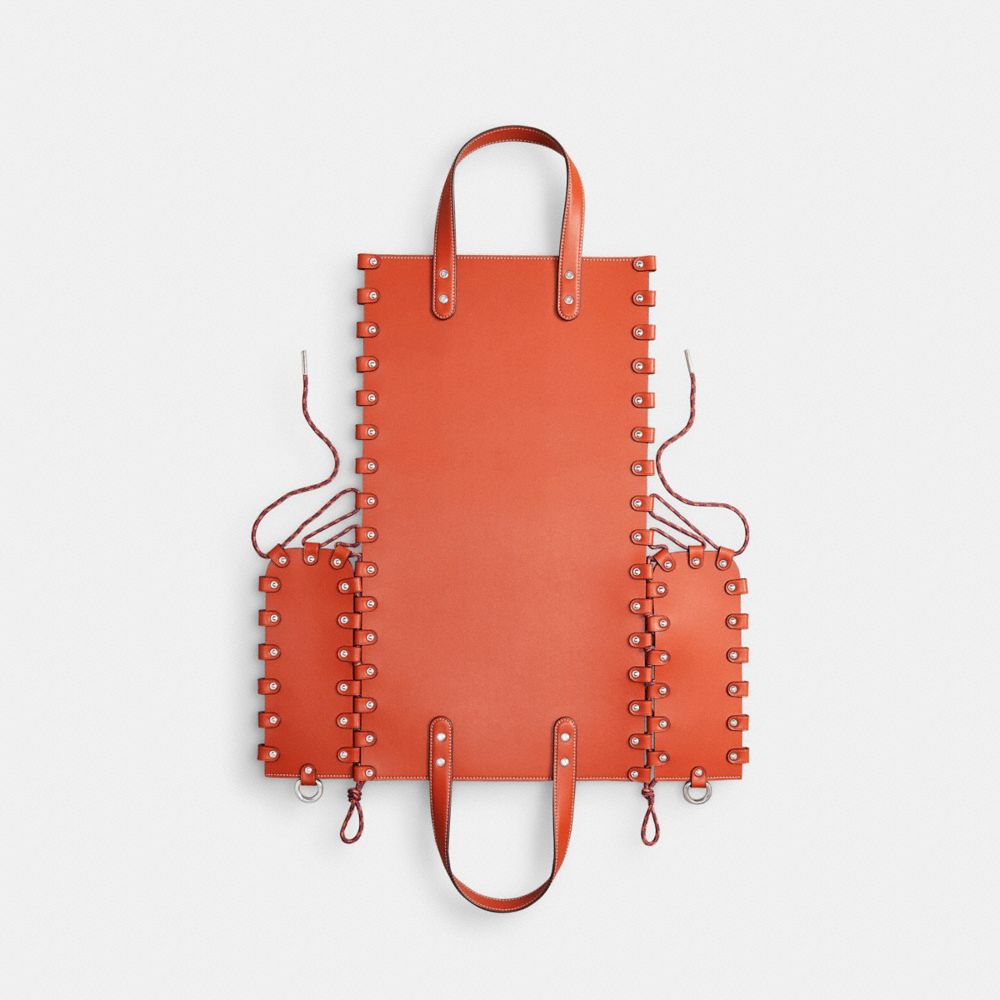 Medium Re Laceable Tote In Coachtopia Leather