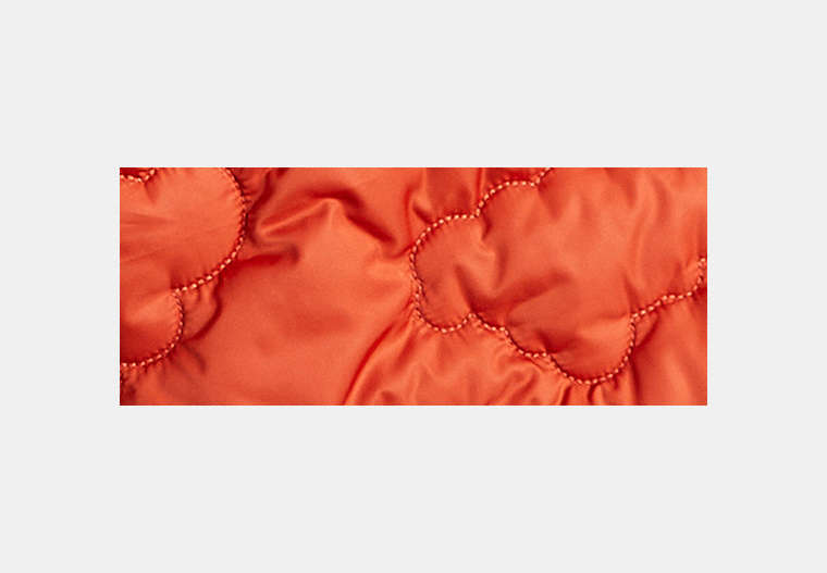 Coachtopia Loop Scarf With Cloud Quilting