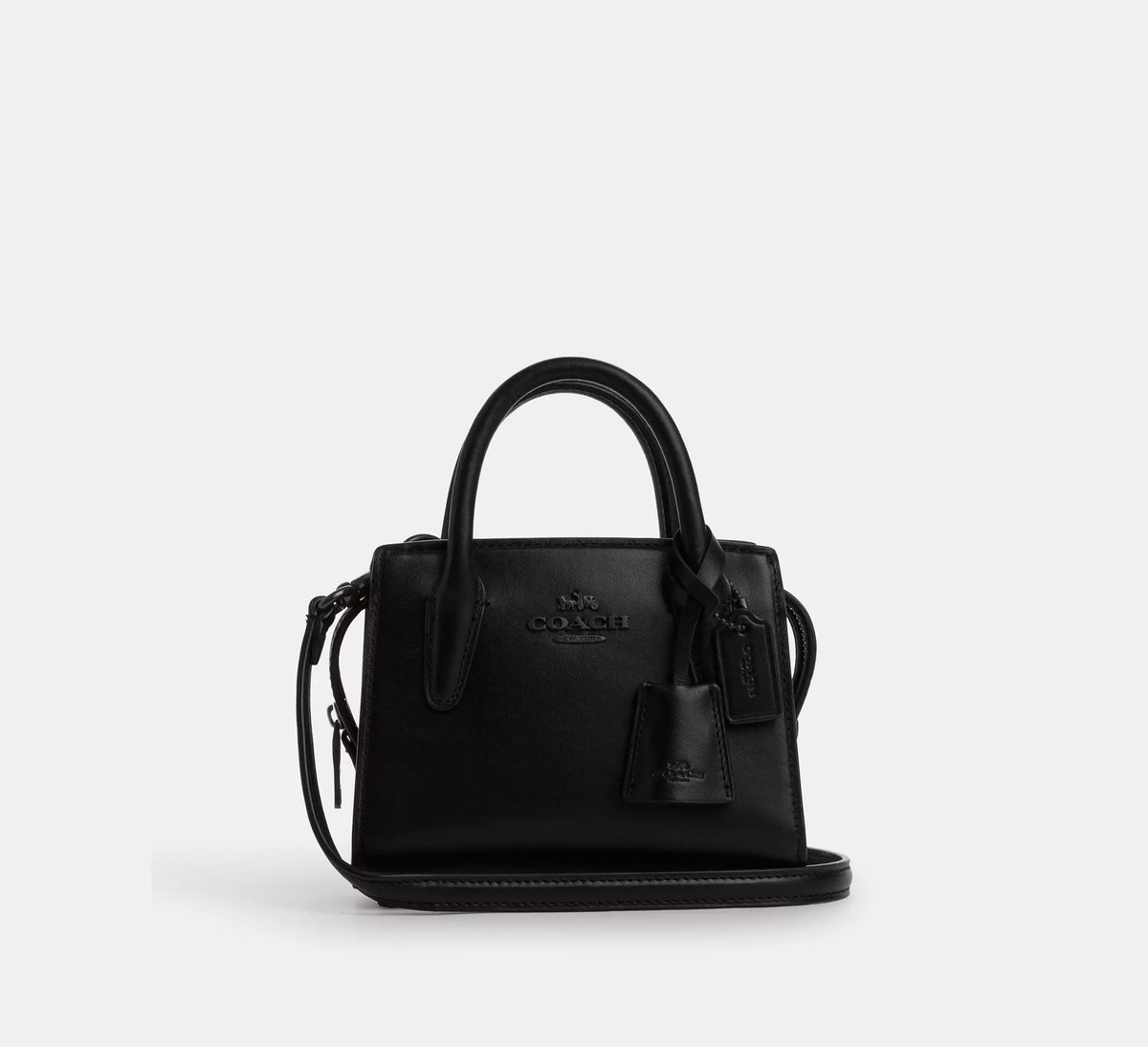 Andrea Mini Carryall