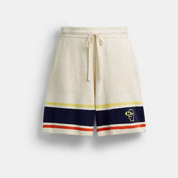 Coach | Brain Dead Striped Knit Shorts