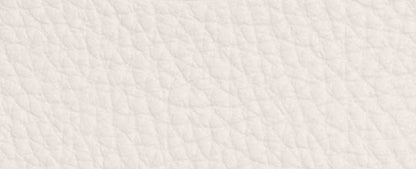 Slim Id Card Case