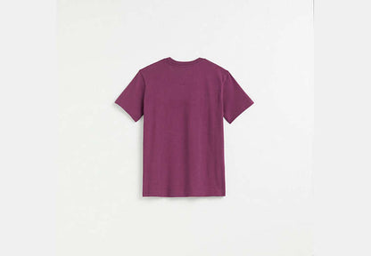 Restored Horse And Carriage T-Shirt
