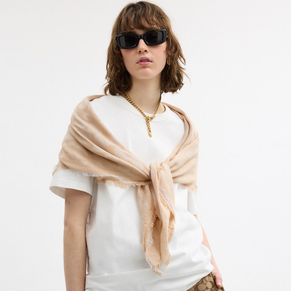 Jumbo Horse And Carriage Wrap