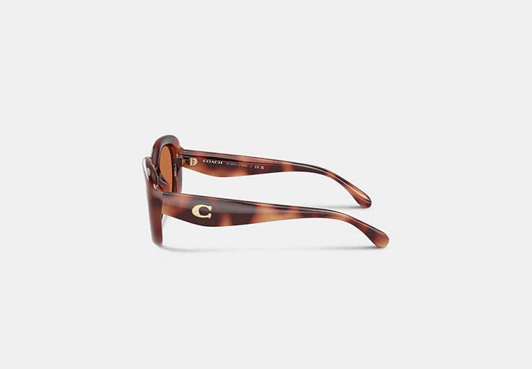 C Hardware Round Sunglasses
