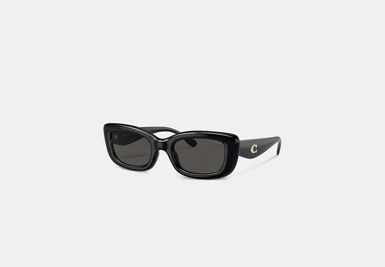 C Hardware Narrow Rectangle Sunglasses