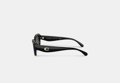 C Hardware Narrow Rectangle Sunglasses