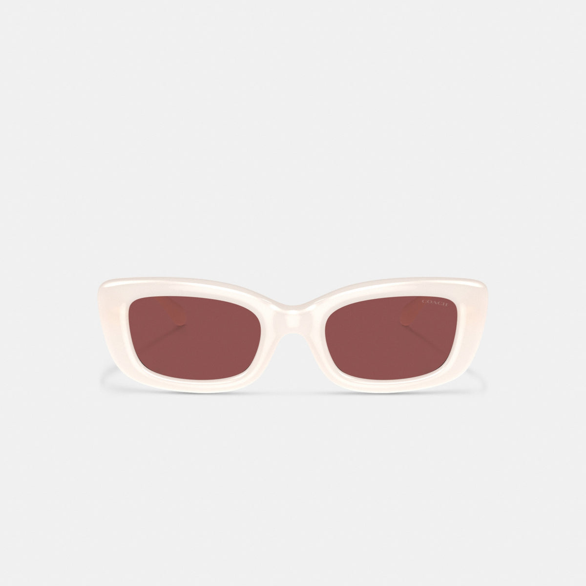 C Hardware Narrow Rectangle Sunglasses