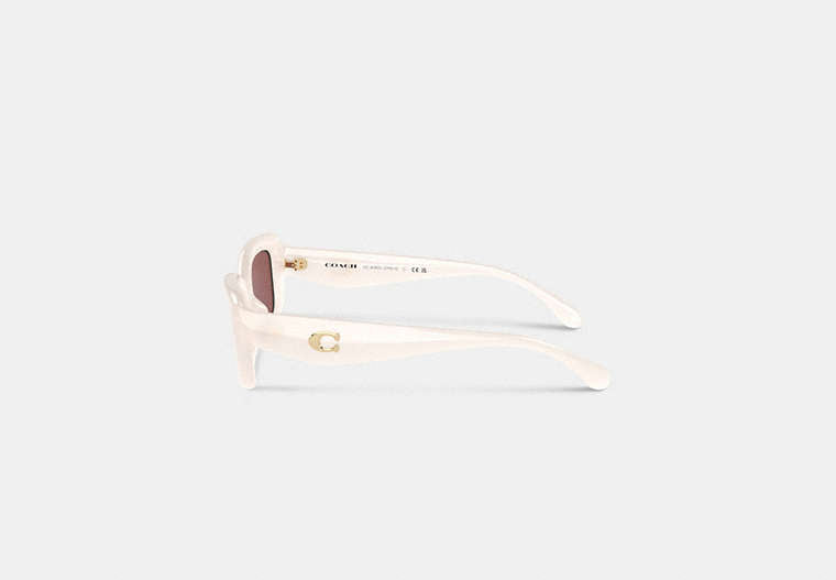 C Hardware Narrow Rectangle Sunglasses