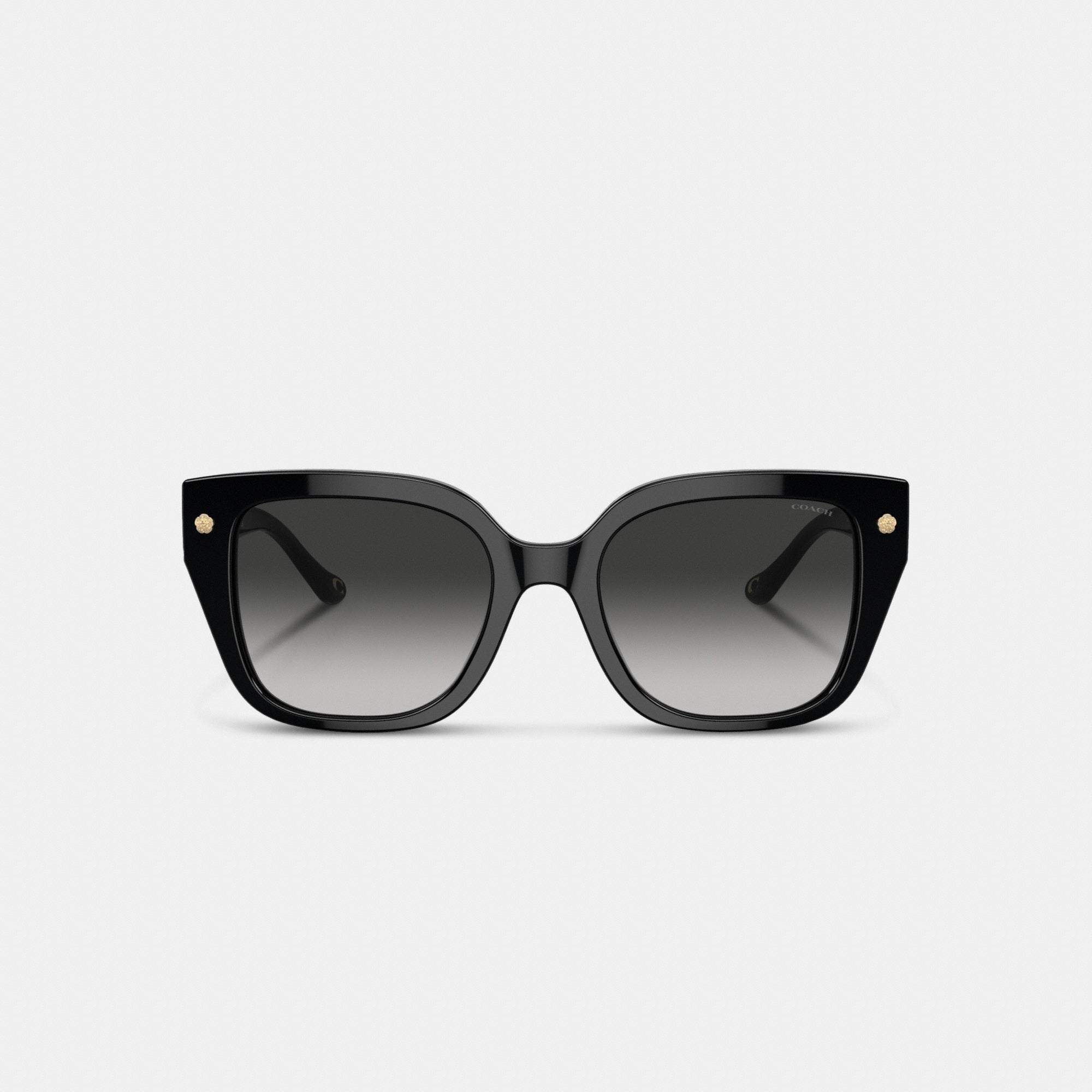 Charms Oversized Square Sunglasses