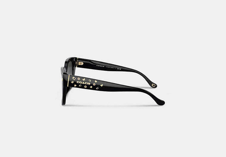 Charms Oversized Square Sunglasses
