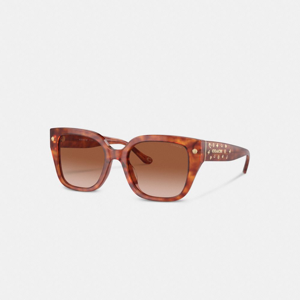 Charms Oversized Square Sunglasses