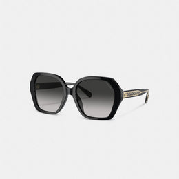 Signature Ombré Geometric Square Sunglasses