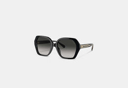 Signature Ombré Geometric Square Sunglasses