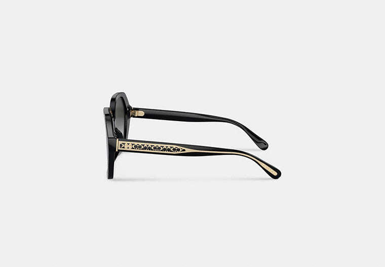 Signature Ombré Geometric Square Sunglasses