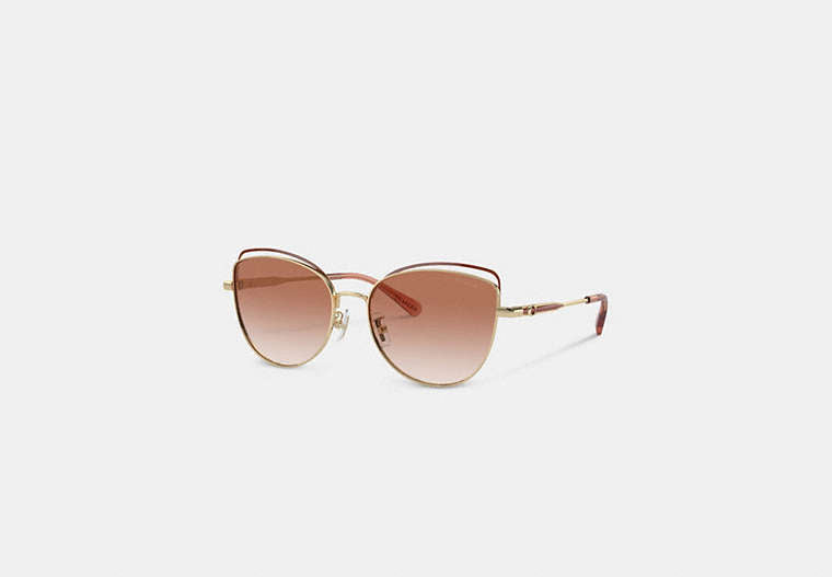 Bandit Wire Oval Sunglasses