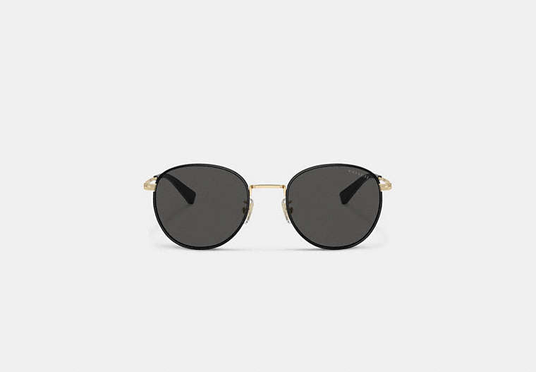Metal Windsor Round Sunglasses