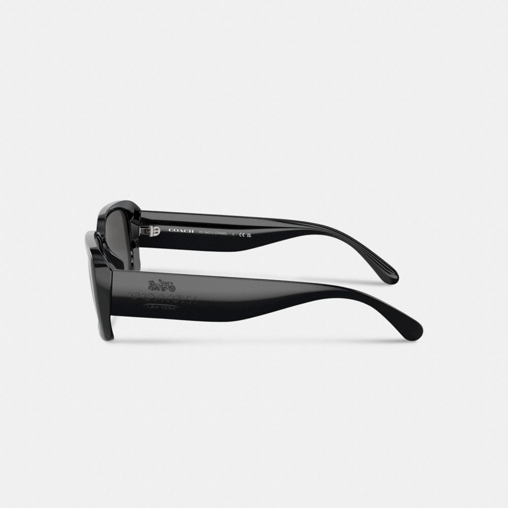 Narrow Rectangle Sunglasses