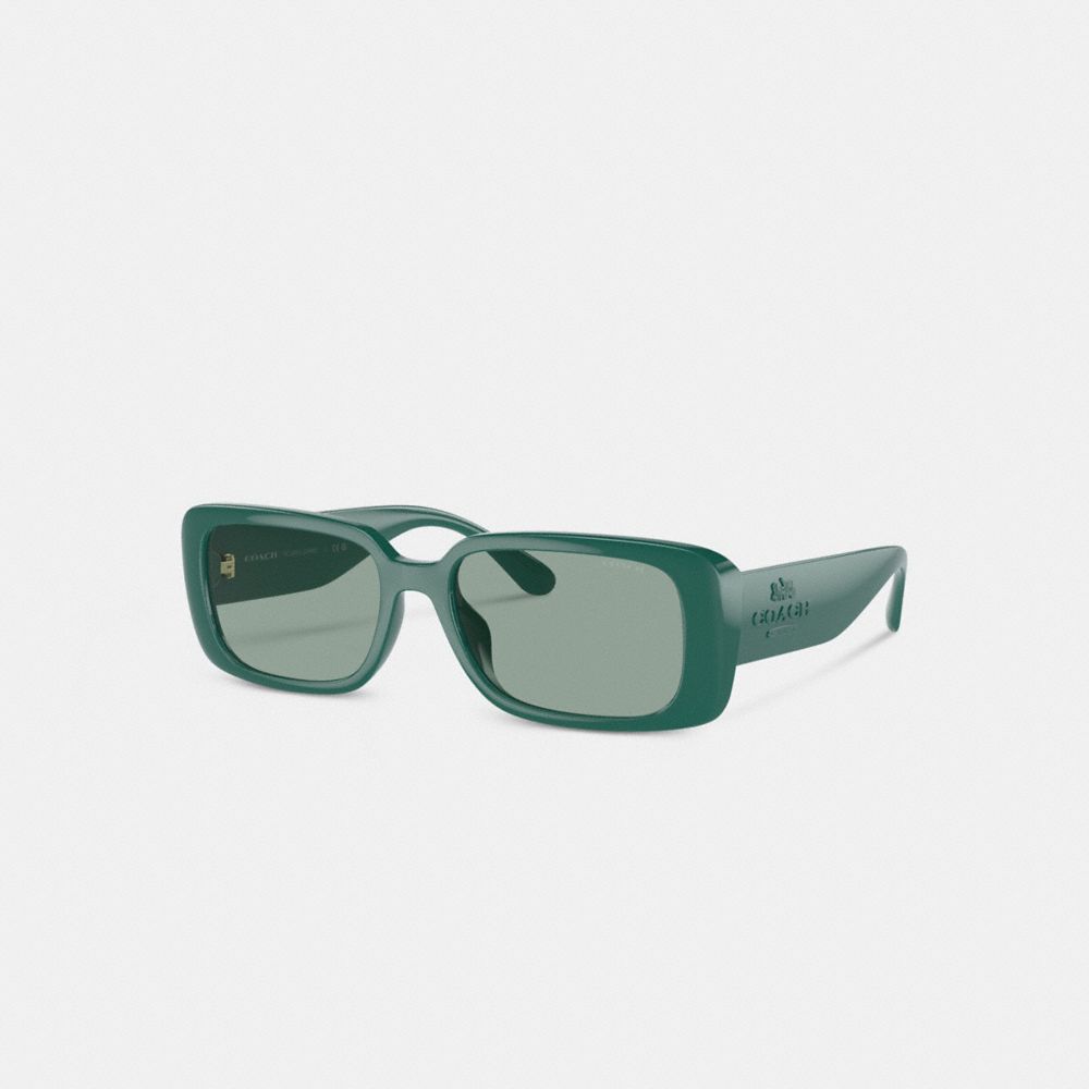 Narrow Rectangle Sunglasses