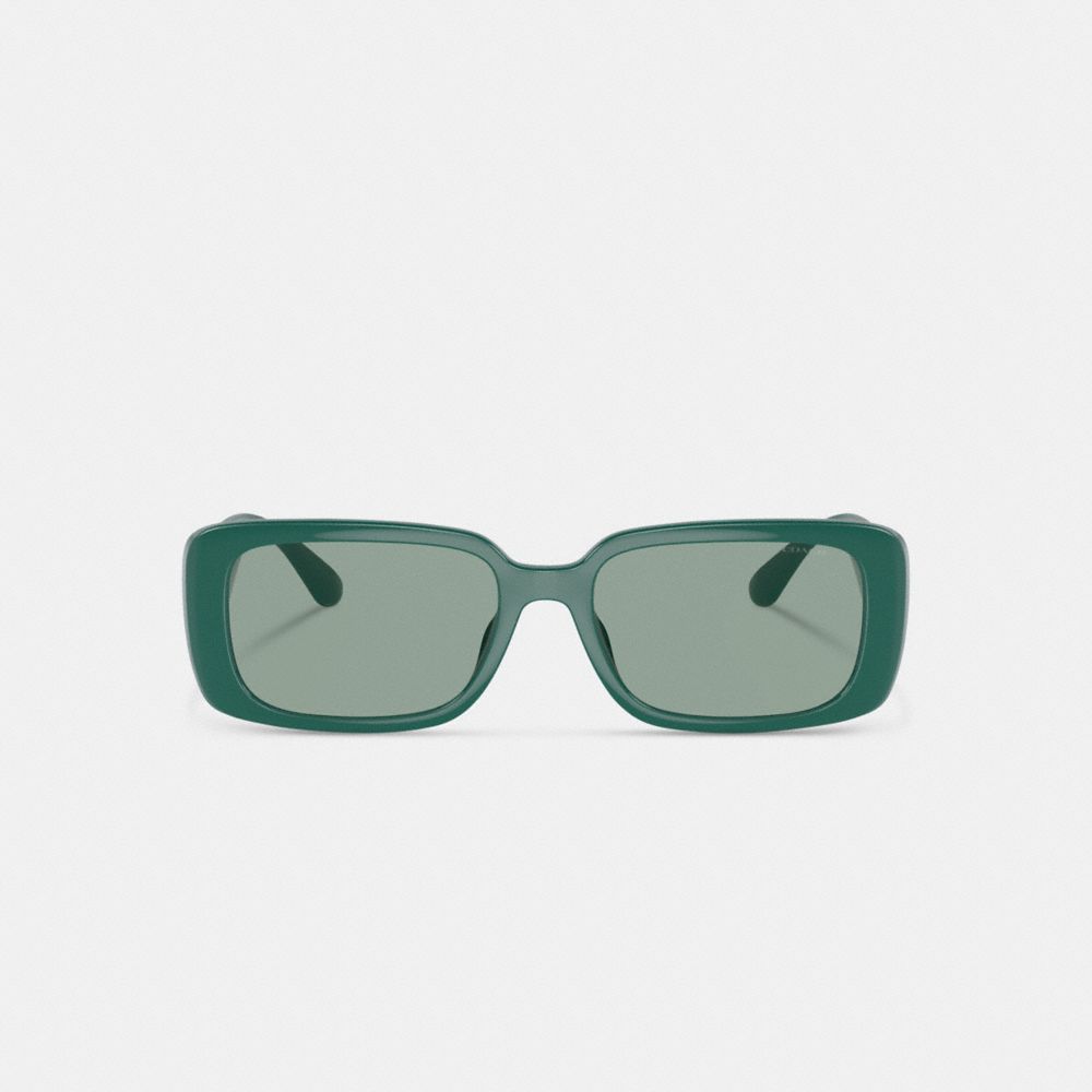 Narrow Rectangle Sunglasses