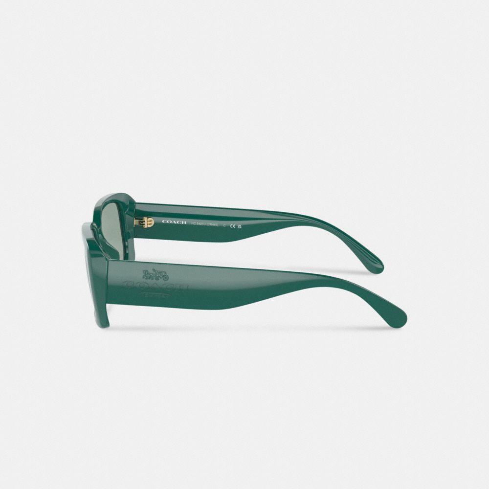 Narrow Rectangle Sunglasses
