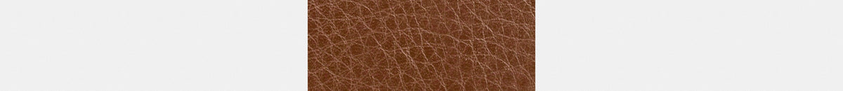 3-In-1 Wallet
