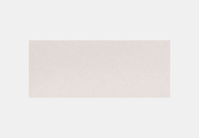 Essential Slim Card Case