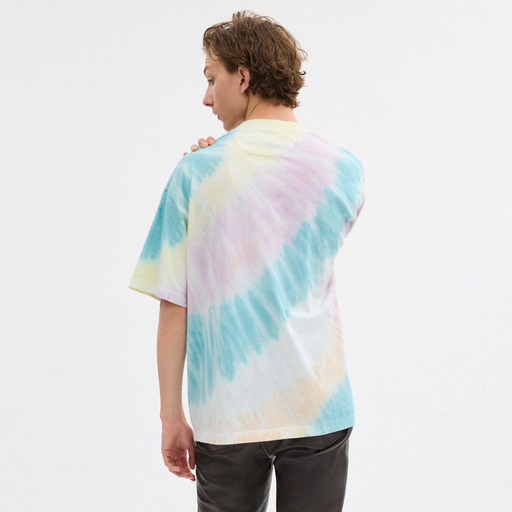 Tie Dye Crewneck T Shirt In Organic Cotton